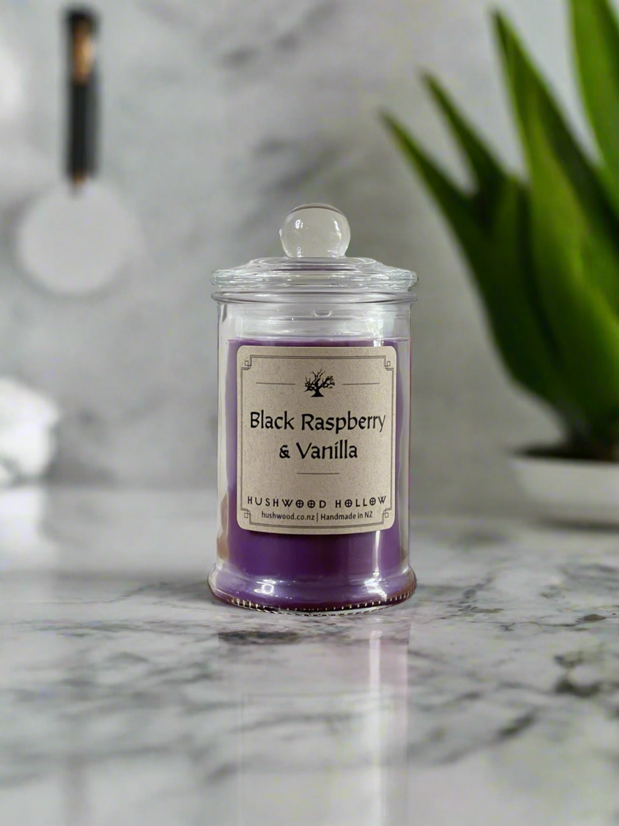 Black Raspberry and Vanilla Candle Medium