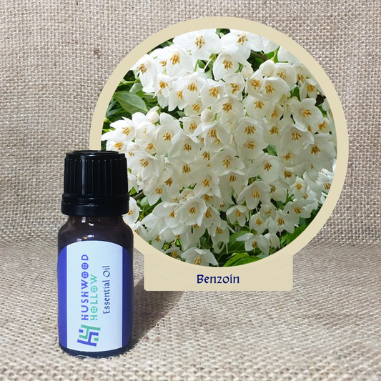 Benzoin - 20% perfumery tincture