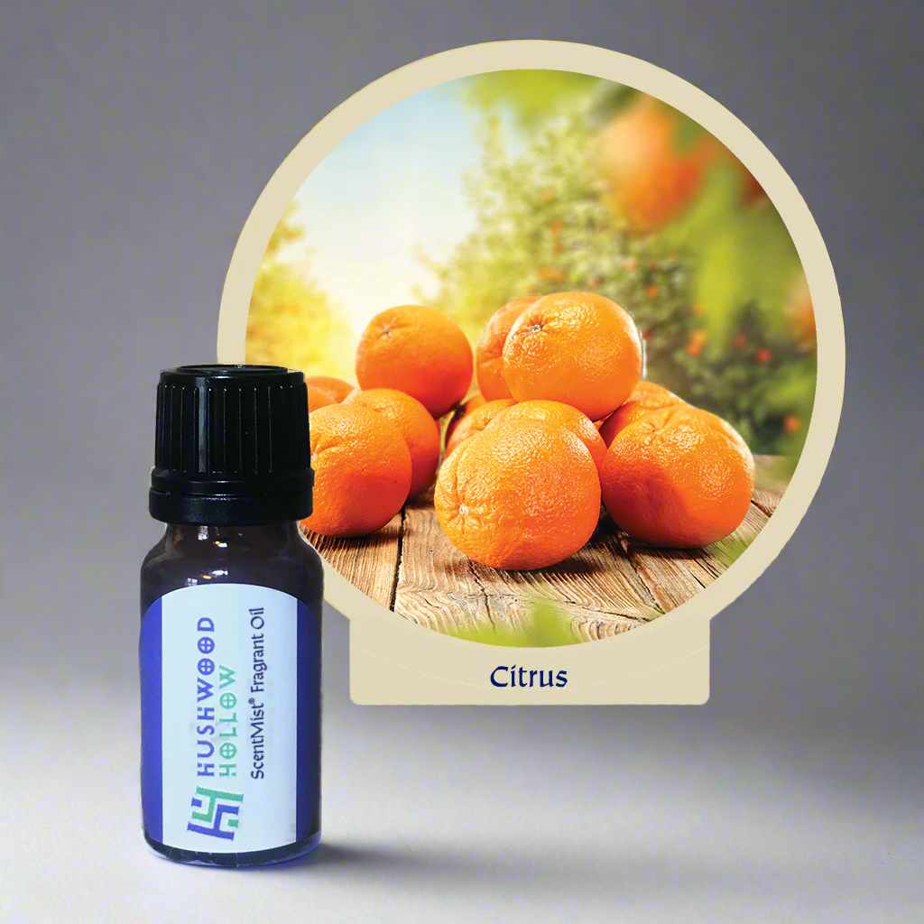 Citrus - ScentMist® Fragrance Oil - 10ml - Hushwood Hollow