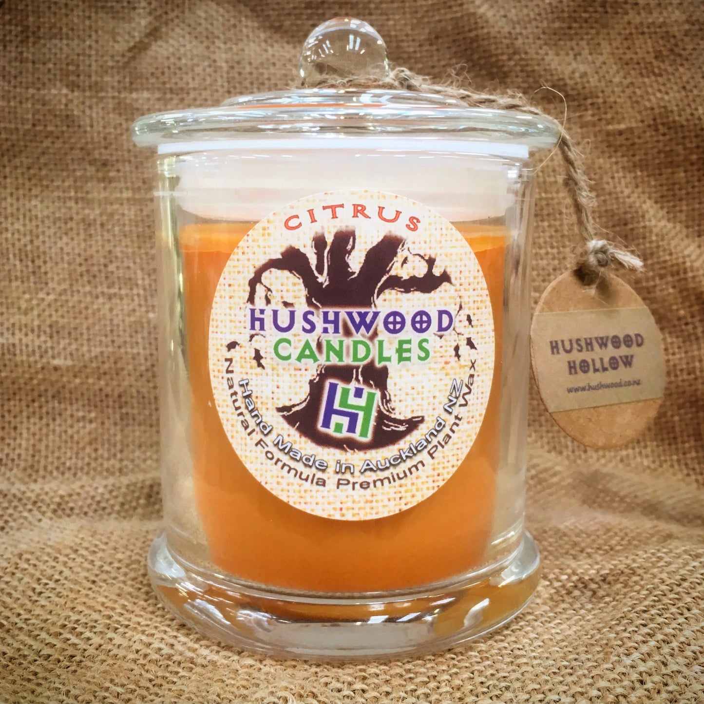 Citrus - Large Candle - Hushwood Hollow