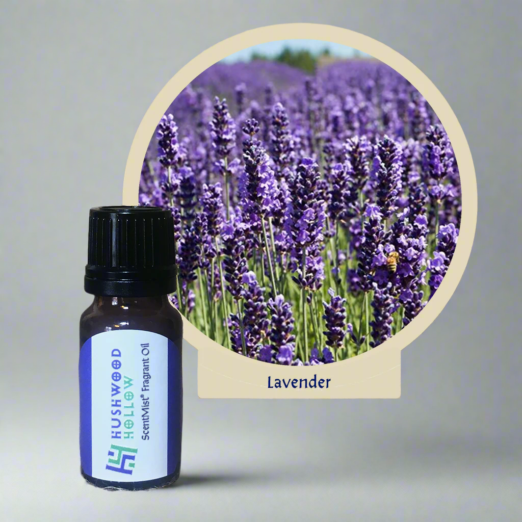 Lavender - ScentMist® Fragrance Oil - 10ml - Hushwood Hollow