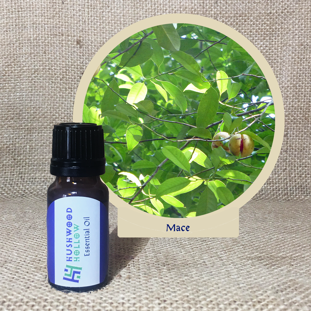 Mace - 20% perfumery tincture