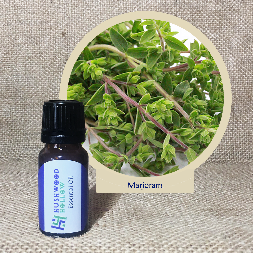 Marjoram - 20% perfumery tincture