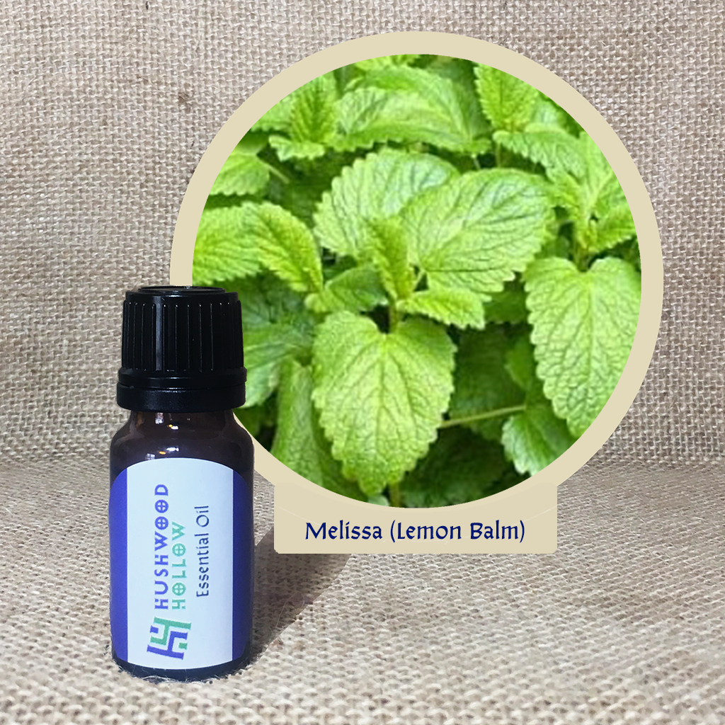 Melissa (Lemon Balm) - Pure Therapeutic Grade Essential Oil - Hushwood Hollow