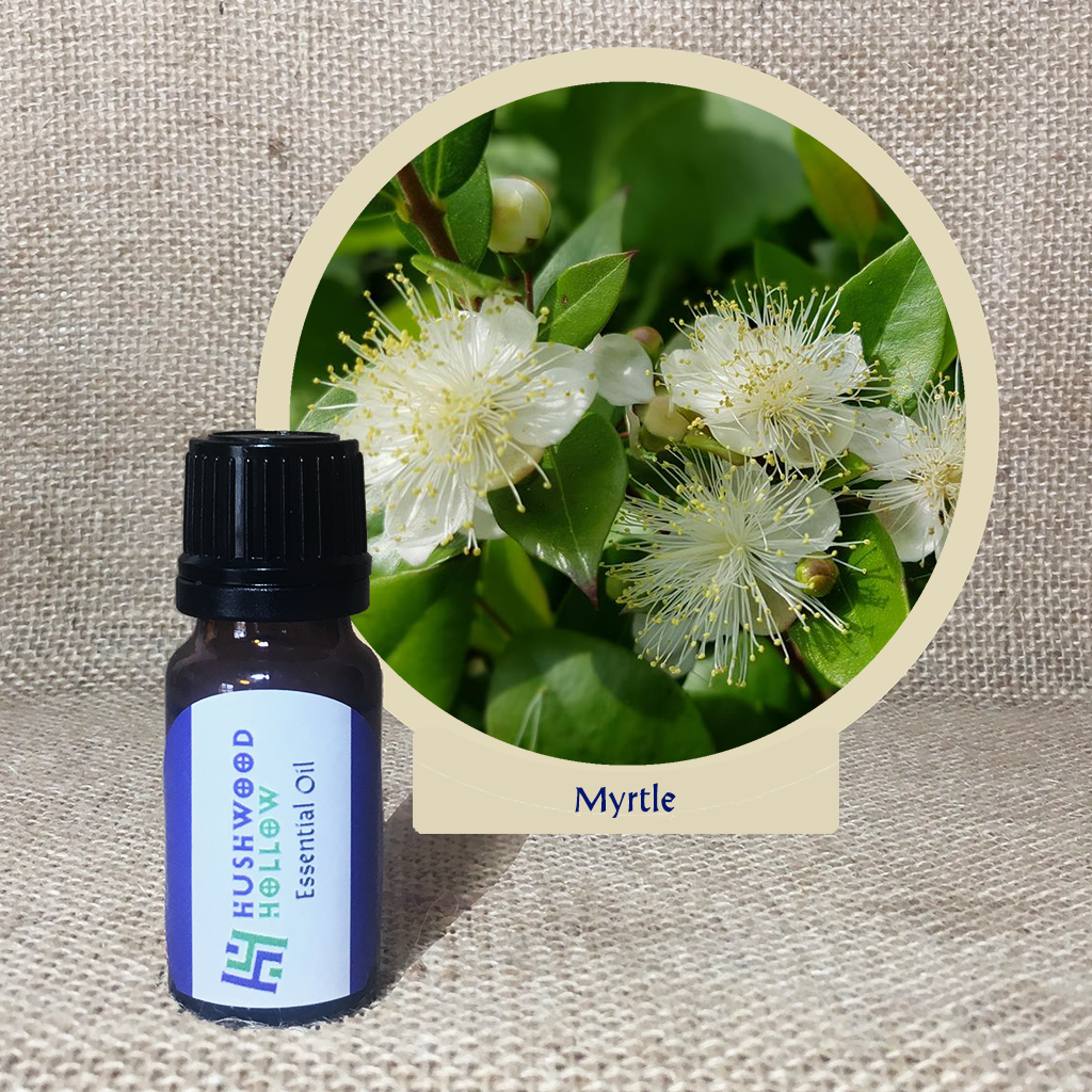 Myrtle - 20% perfumery tincture