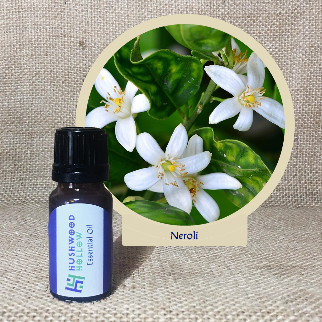 Neroli 100% - Pure Therapeutic Grade Essential Oil - Hushwood Hollow