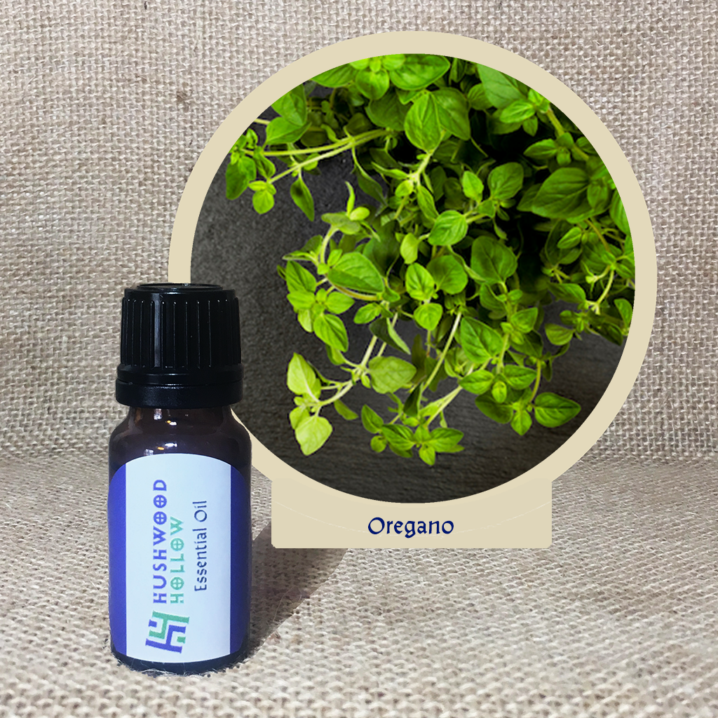 Oregano - 20% perfumery tincture