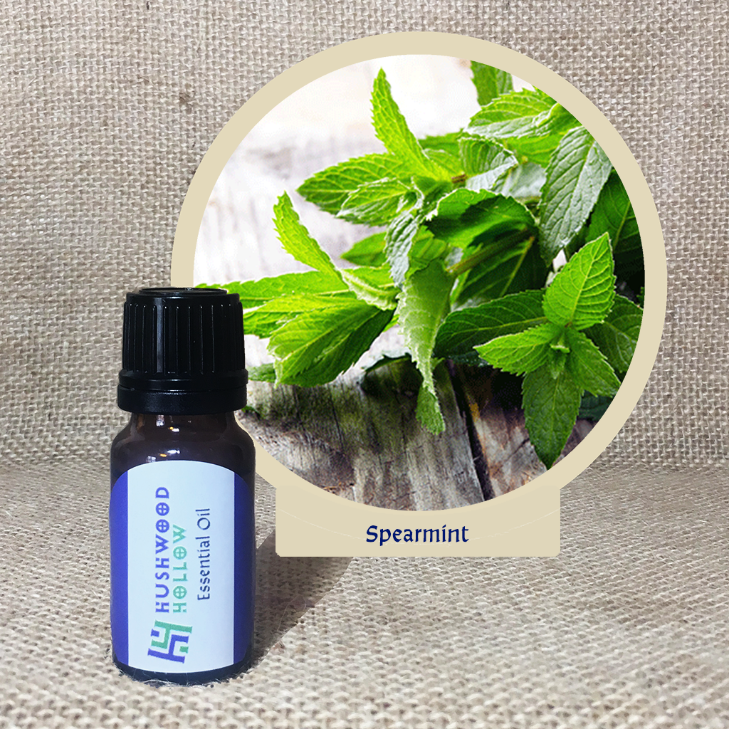 Spearmint - 20% perfumery tincture