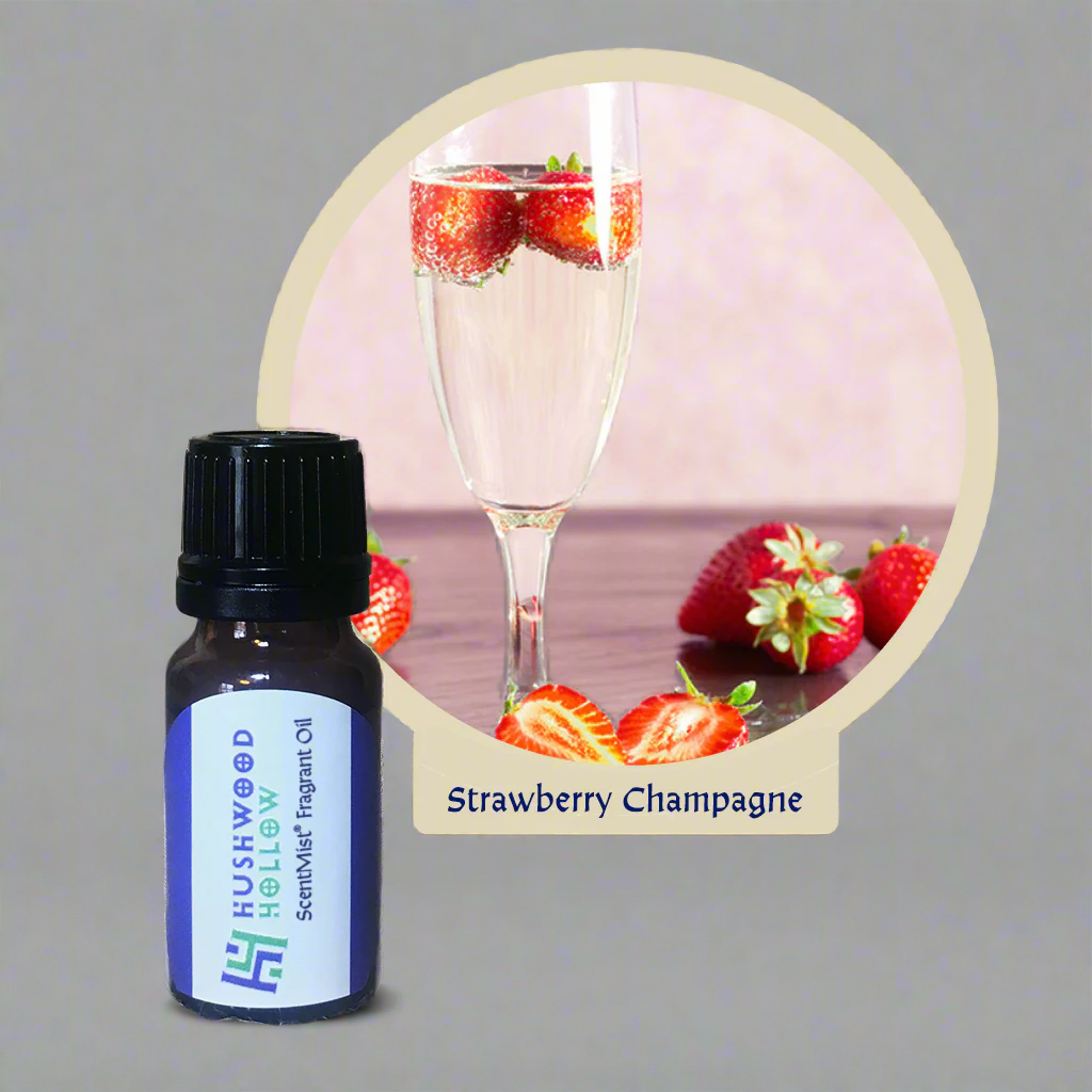 Strawberry Champagne - ScentMist® Fragrance Oil - 10ml - Hushwood Hollow