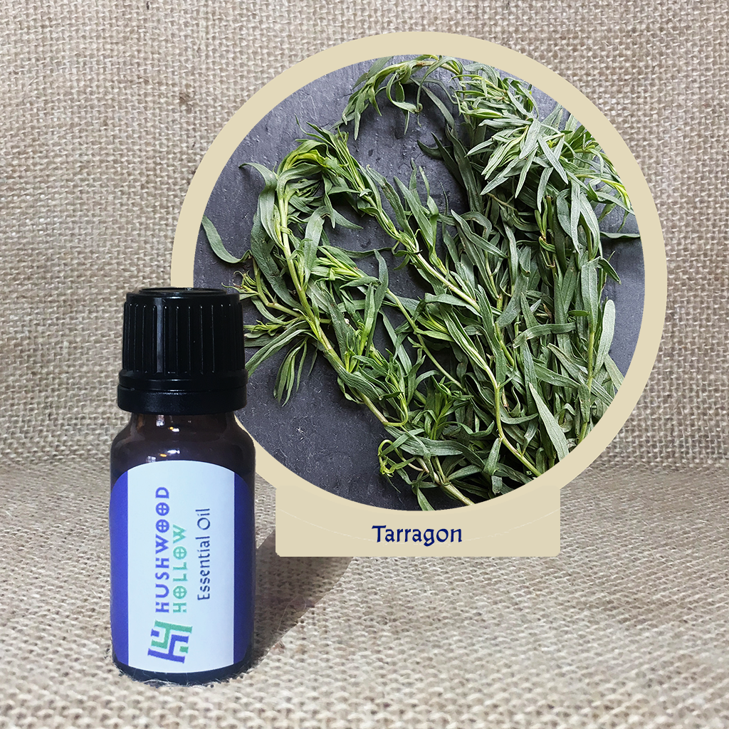 Tarragon - 20% perfumery tincture