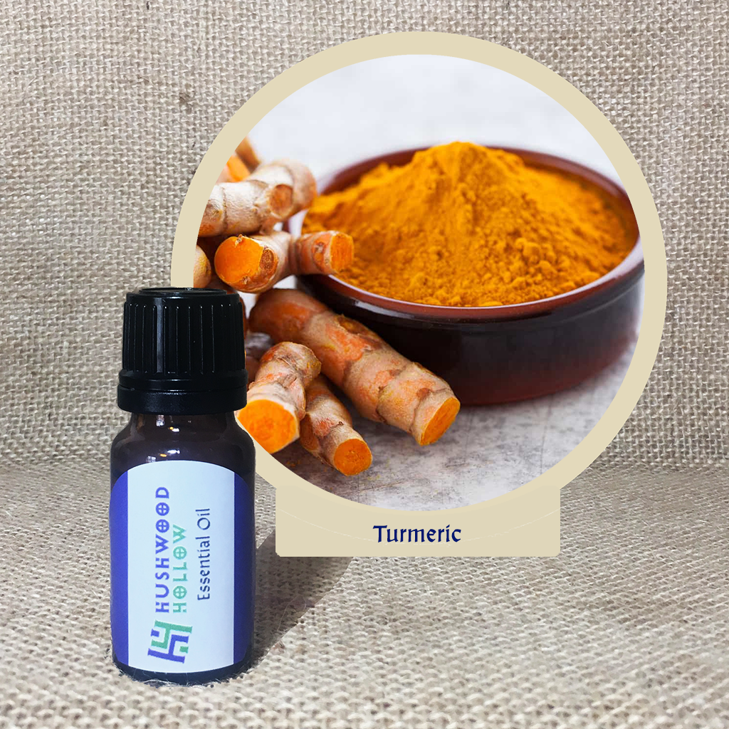 Turmeric - 20% perfumery tincture