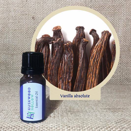 Vanilla absolute - Pure Therapeutic Grade Essential Oil - Hushwood Hollow