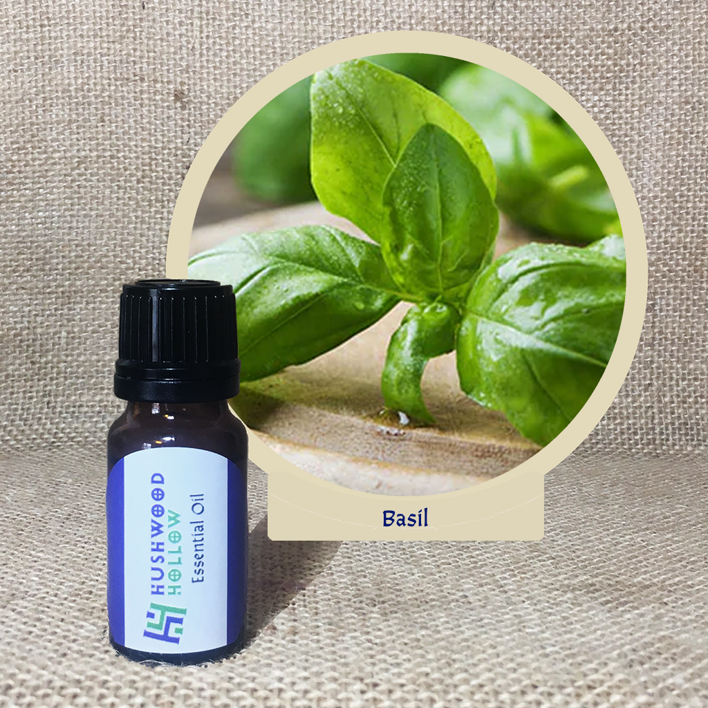 Basil - 20% perfumery tincture