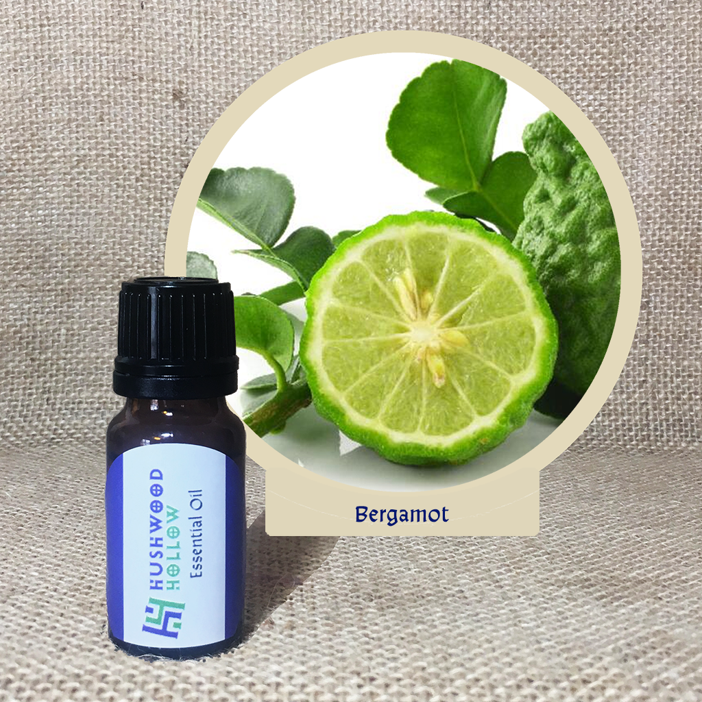 Bergamot - Pure Therapeutic Grade Essential Oil - Hushwood Hollow