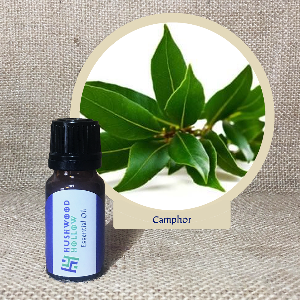 Camphor - 20% perfumery tincture