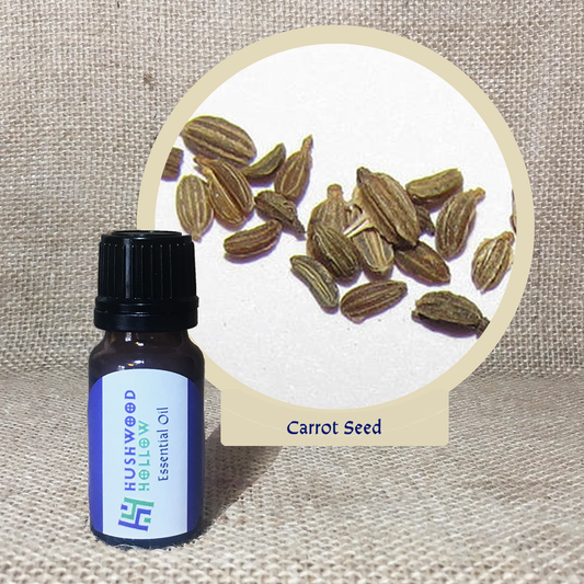 Carrot Seed - 20% perfumery tincture