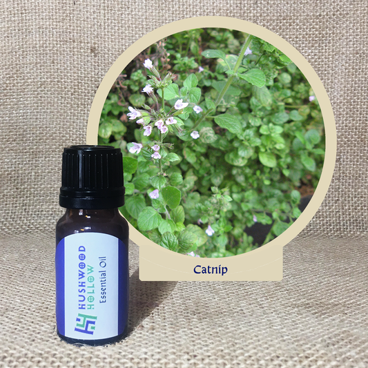 Catnip - 20% perfumery tincture