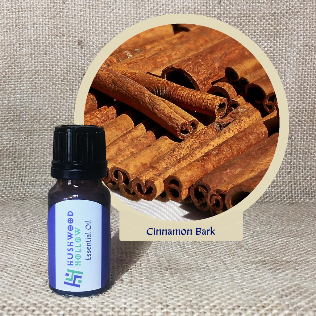 Cinnamon Bark Essential Oil