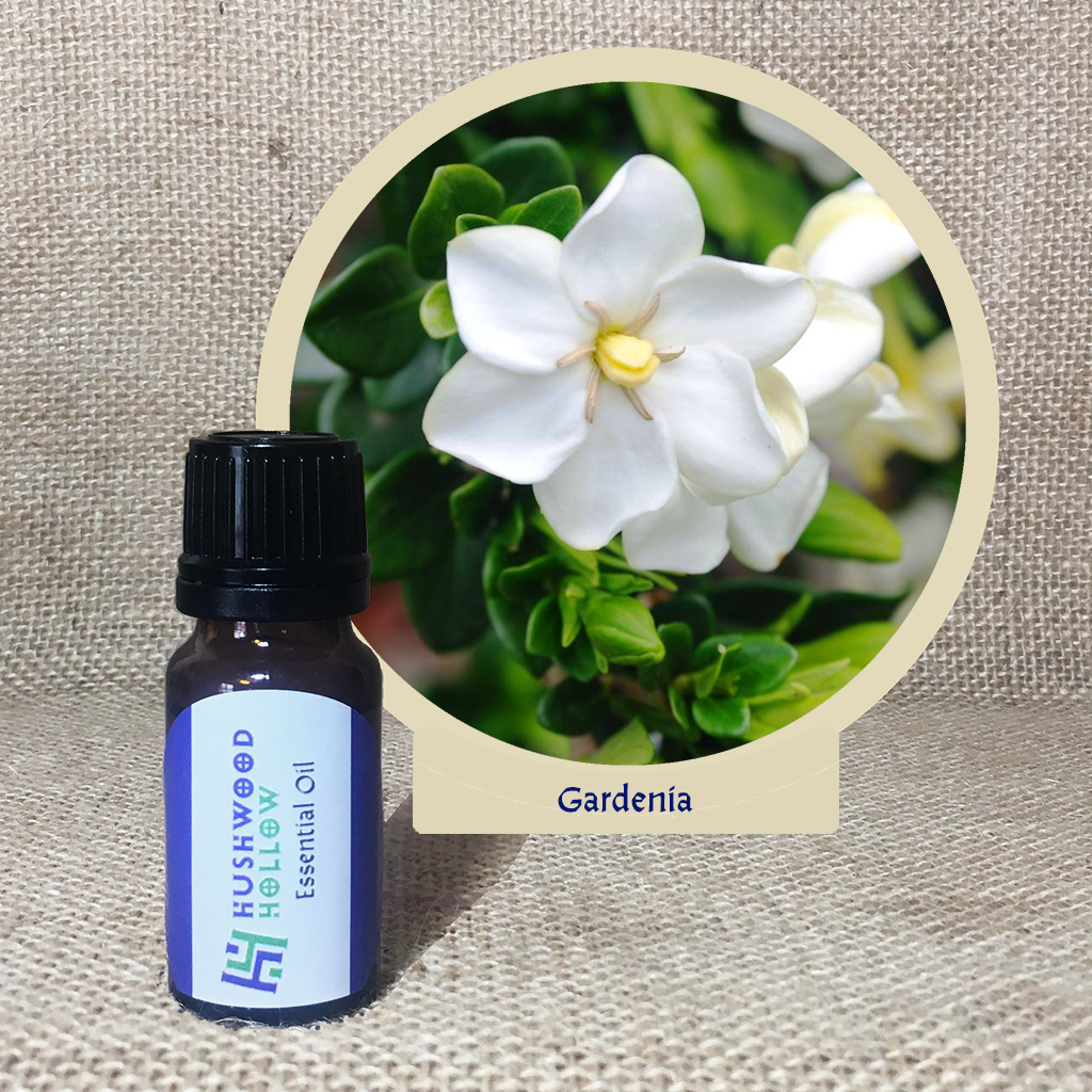 100% PURE UNCUT UNDILUTED GARDENIA ESSENTIAL OIL 30ML