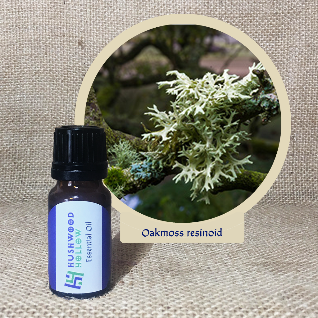 Oakmoss resinoid - Pure Therapeutic Grade Essential Oil - Hushwood Hollow